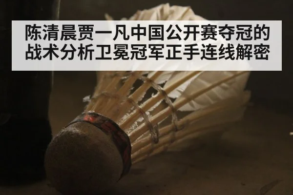 陈清晨贾一凡中国公开赛夺冠的战术分析卫冕冠军正手连线解密